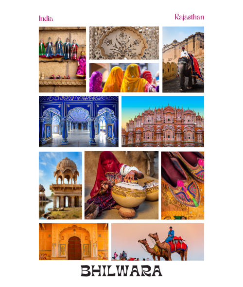 Blue and Pink Collage Colorful India Travel Moodboard Poster (500 x 590 px)