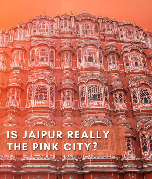 Orange And Peach Modern Jaipur Travel Vlog Youtube Thumbnail (500 x 590 px)